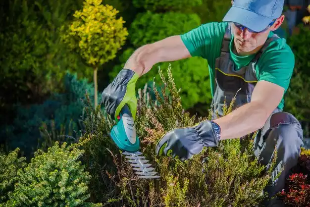 landscaping services Queens